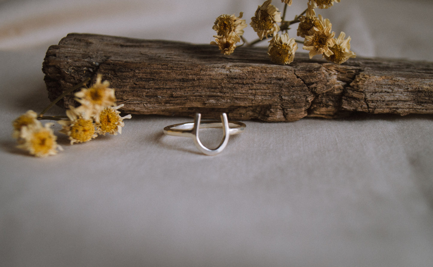 Lucky Horseshoe Ring