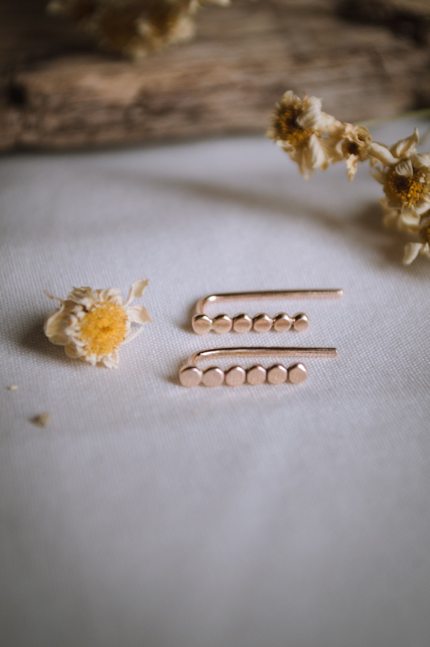 Dainty Ear Climbers