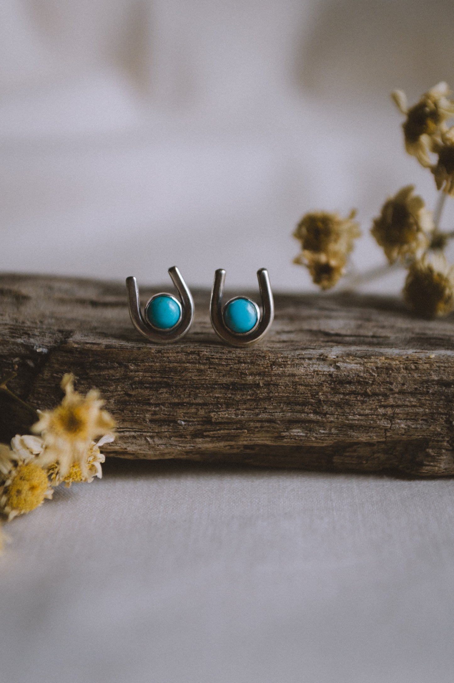 Lucky Horseshoe Turquoise Earrings