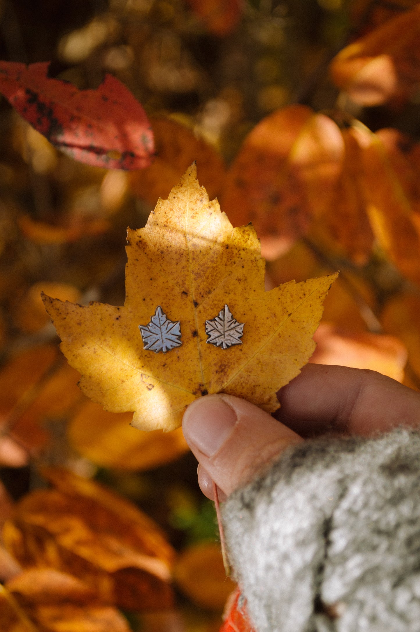 Sterling Maple Leaf Studs