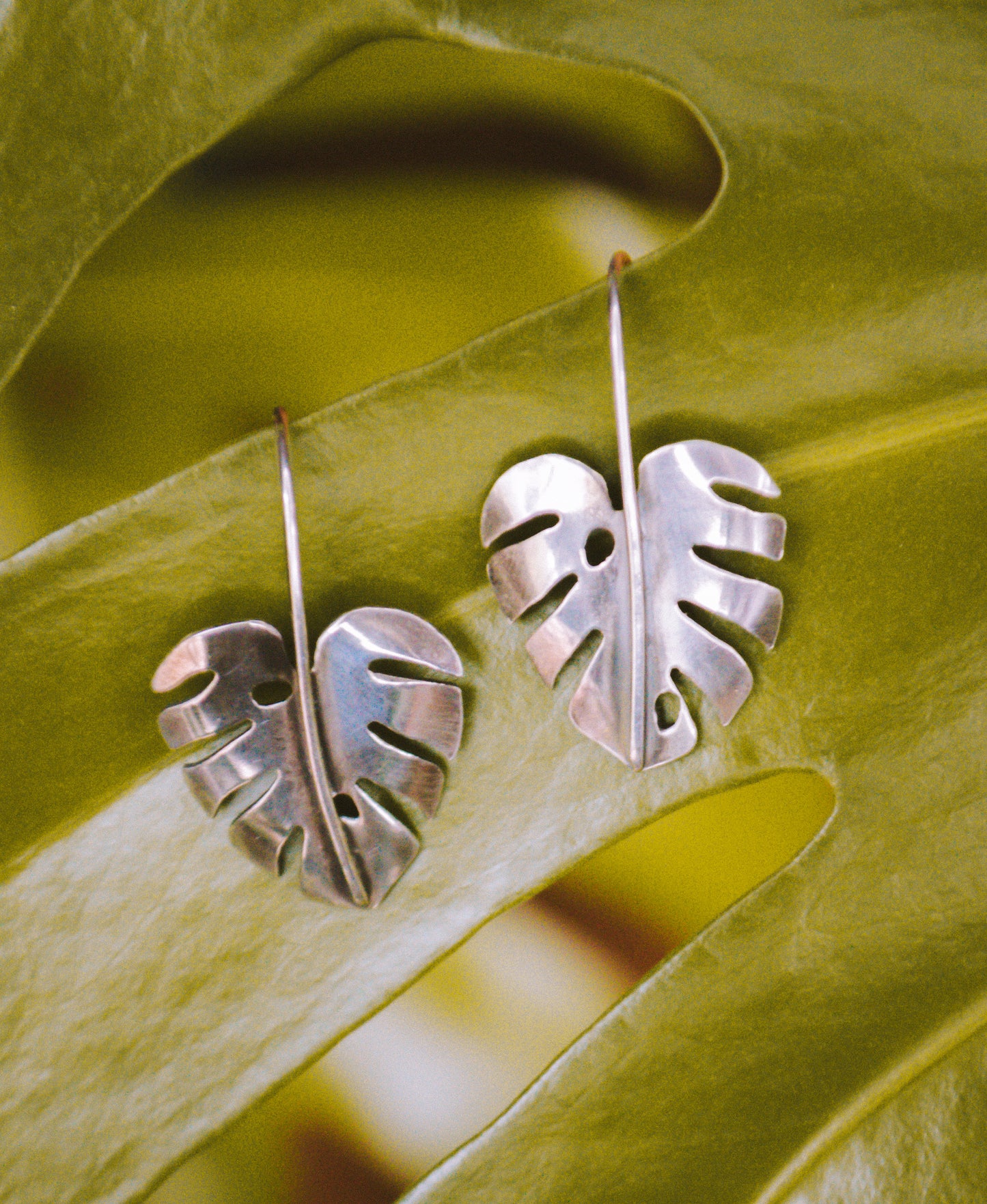 Sterling Monstera Earrings
