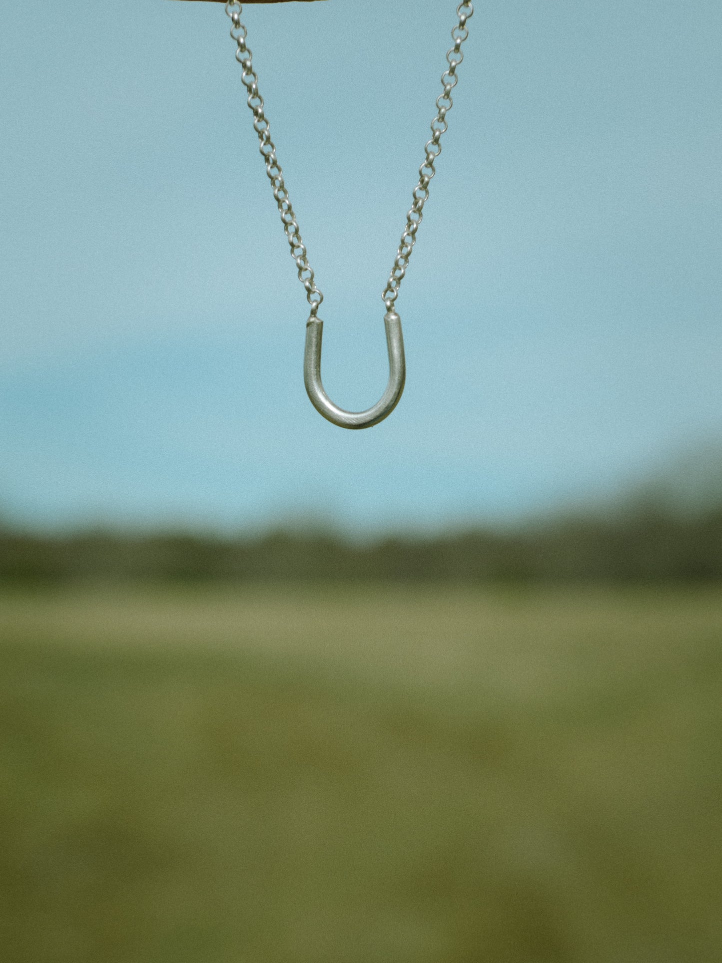 Lucky Horseshoe Necklace