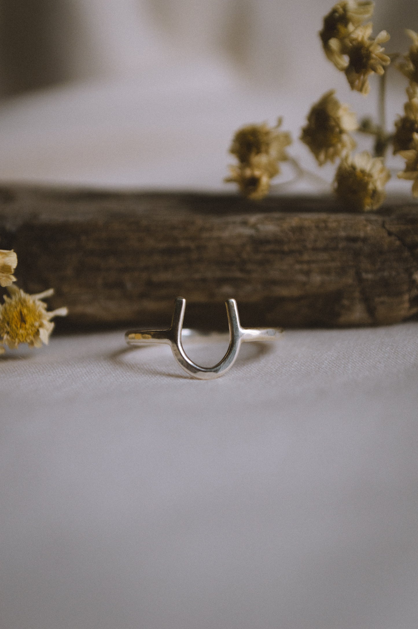 Lucky Horseshoe Ring