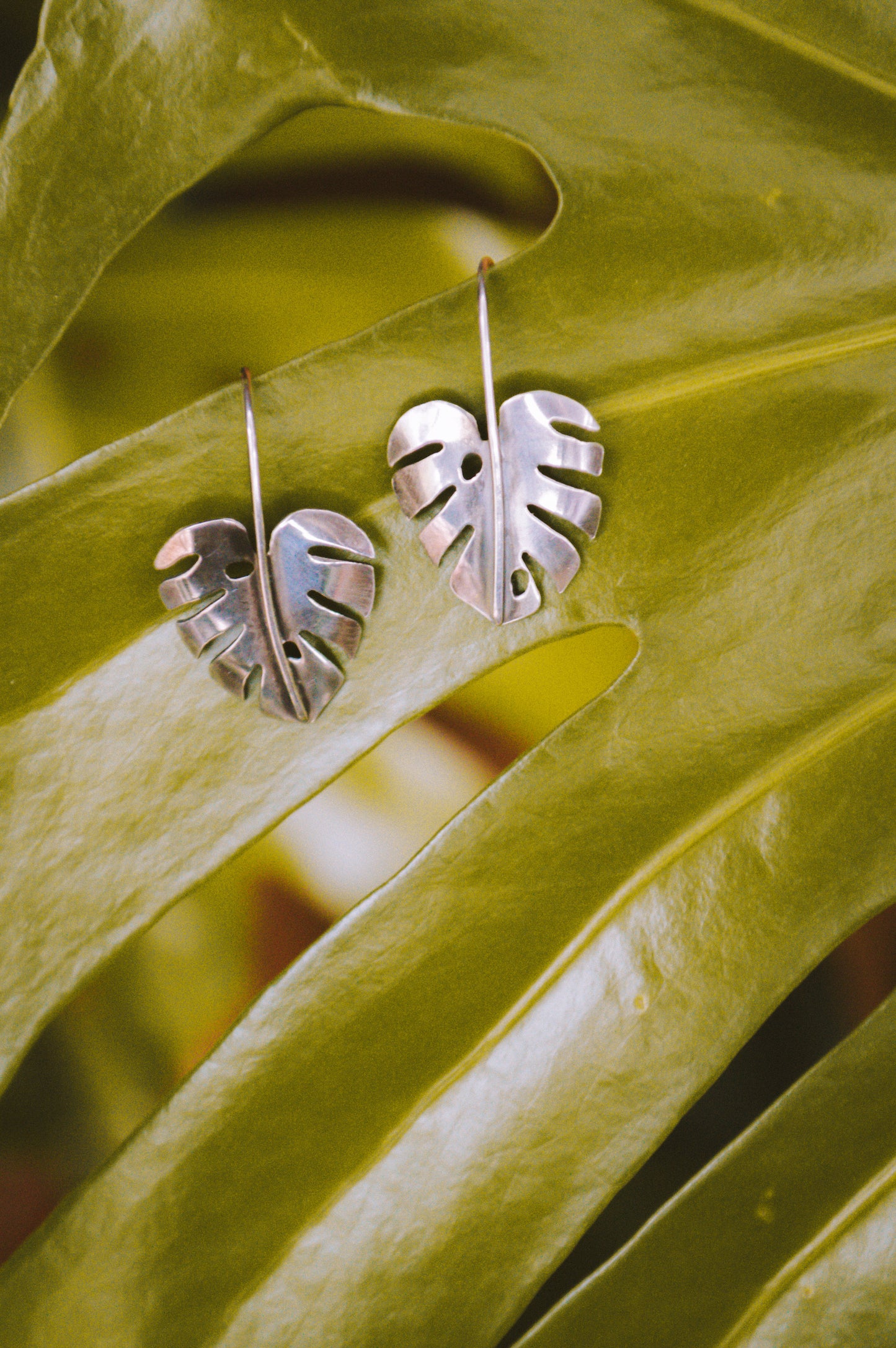Sterling Monstera Earrings