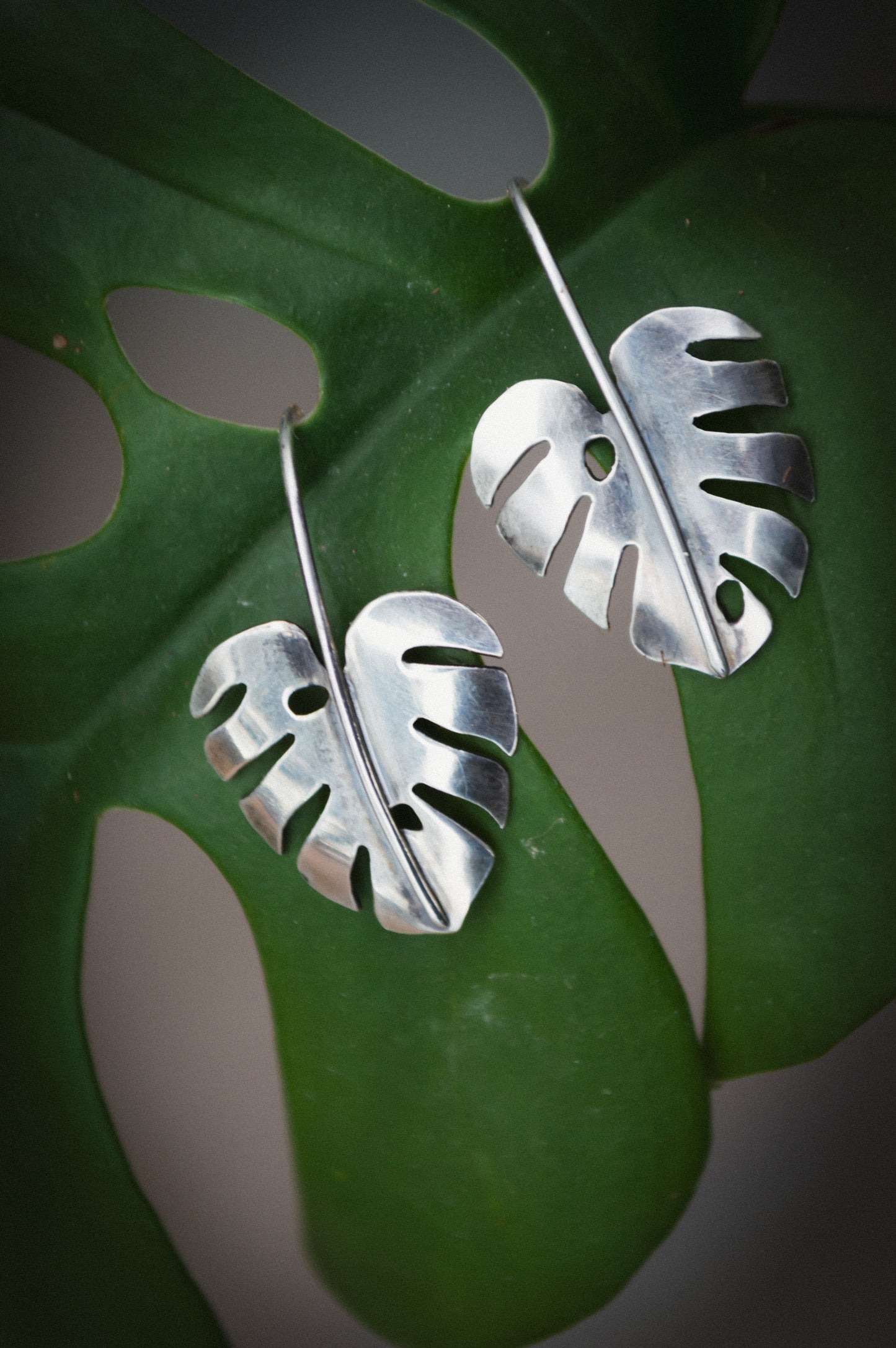 Sterling Monstera Earrings
