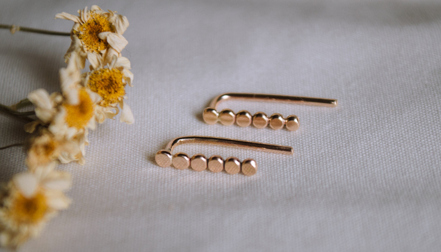 Dainty Ear Climbers