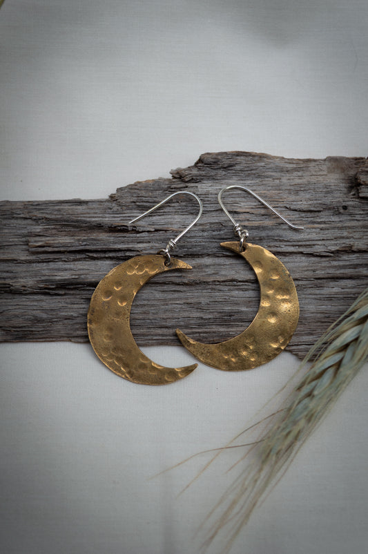 Mixed Metal Moon Earrings