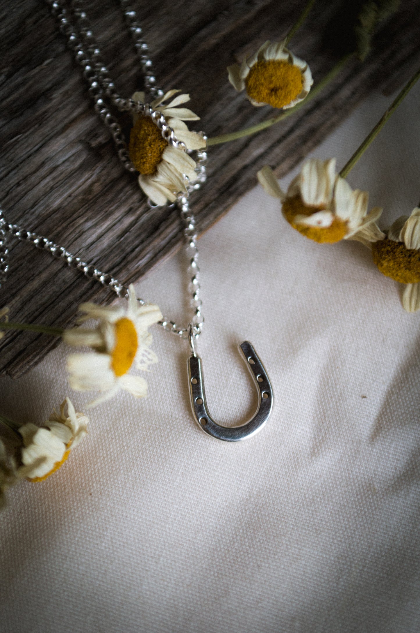 Lucky Horseshoe Necklace