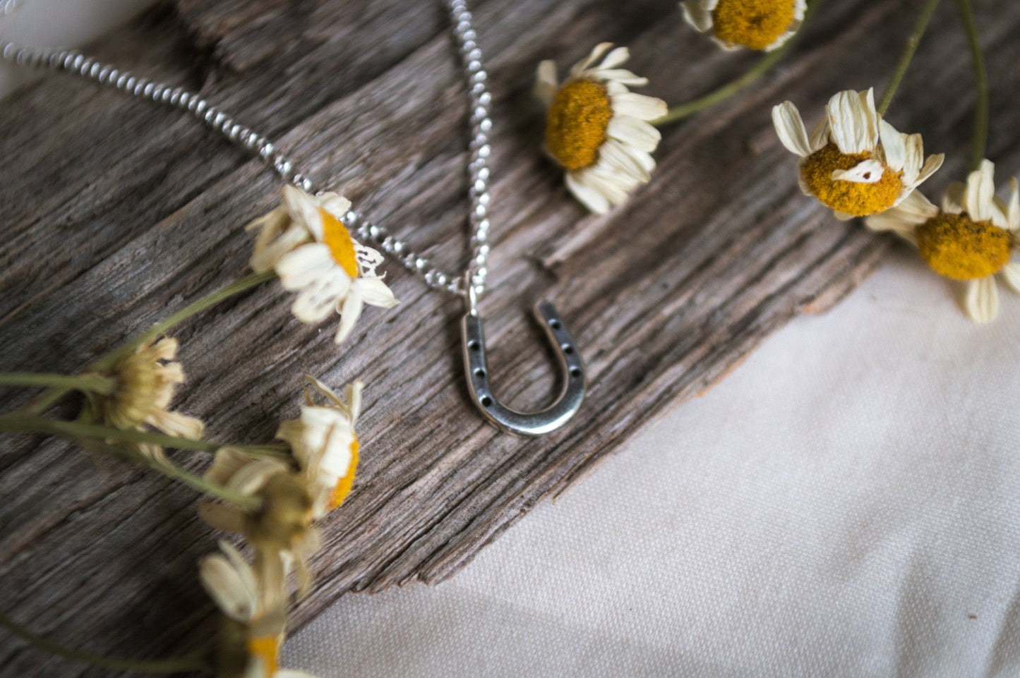 Lucky Horseshoe Necklace